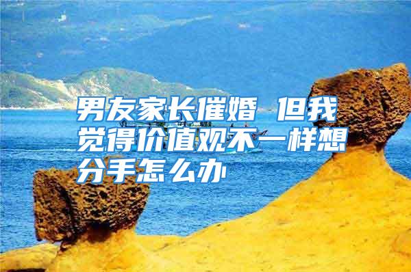 男友家长催婚 但我觉得价值观不一样想分手怎么办