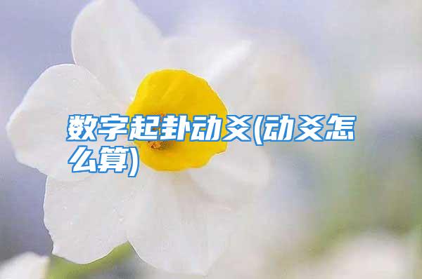 数字起卦动爻(动爻怎么算)