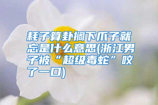 耗子算卦搁下爪子就忘是什么意思(浙江男子被“超级毒蛇”咬了一口)