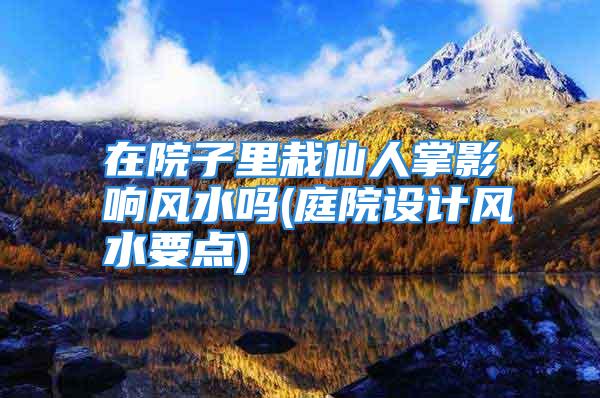 在院子里栽仙人掌影响风水吗(庭院设计风水要点)