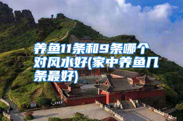 养鱼11条和9条哪个对风水好(家中养鱼几条最好)