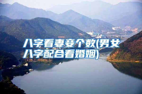 八字看妻妾个数(男女八字配合看婚姻)