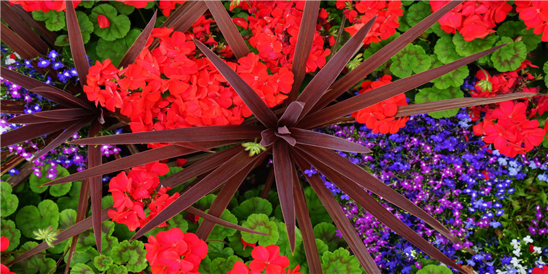 龙年哪月出生的宝宝最好 (龙年哪个月出生好)