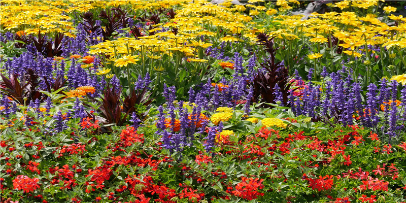 游戏名称大全 个性(游戏名称大全)