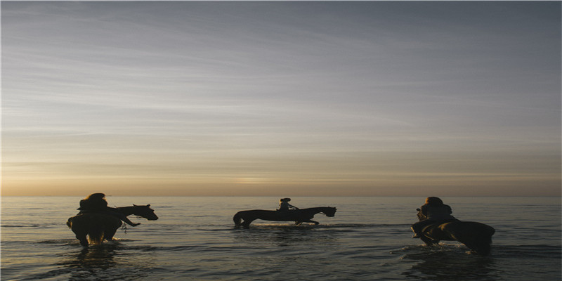 已婚女人梦见很多猫 (已婚女子梦见猫)