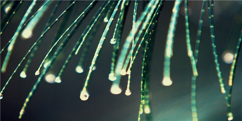 淘宝个性名字(个性的淘宝名字)