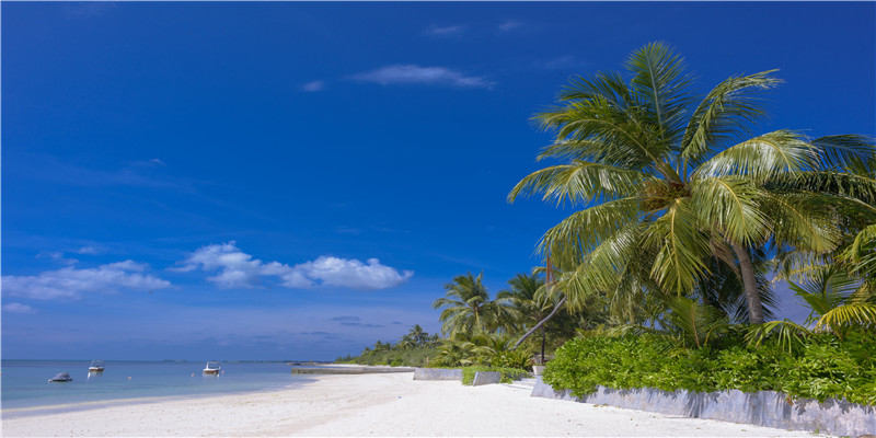饿木命最旺是什么财 (饿木命怎么发财)