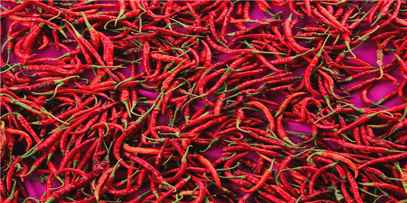 汉程网公司测名(汉程网公司测名吉凶)