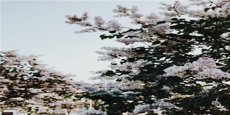 梦见自己喝酒是什么意思(梦见喝酒酒特别好喝是什么意思)