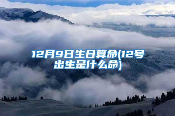 12月9日生日算命(12号出生是什么命)