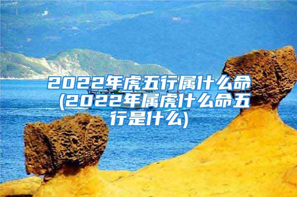 2022年虎五行属什么命 (2022年属虎什么命五行是什么)