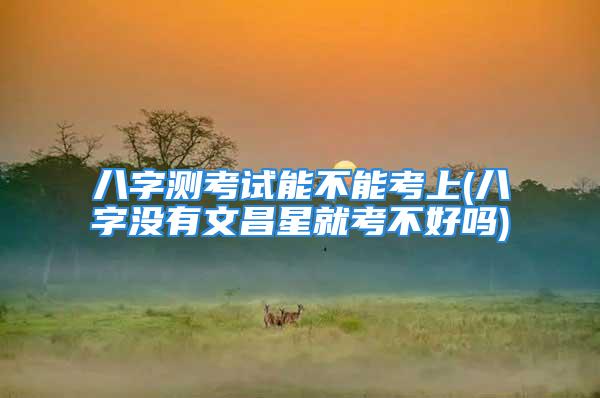八字测考试能不能考上(八字没有文昌星就考不好吗)