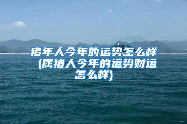 猪年人今年的运势怎么样 (属猪人今年的运势财运怎么样)