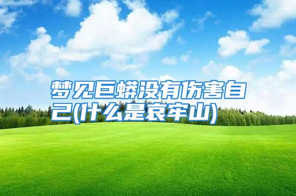 梦见巨蟒没有伤害自己(什么是哀牢山)