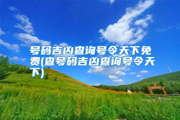 号码吉凶查询号令天下免费(查号码吉凶查询号令天下)