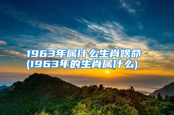 1963年属什么生肖啥命 (1963年的生肖属什么)