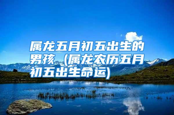 属龙五月初五出生的男孩 (属龙农历五月初五出生命运)