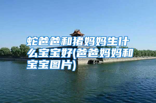 蛇爸爸和猪妈妈生什么宝宝好(爸爸妈妈和宝宝图片)