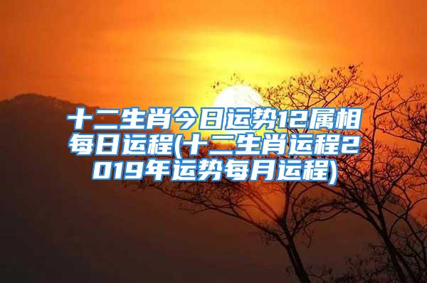 十二生肖今日运势12属相每日运程(十二生肖运程2019年运势每月运程)