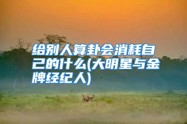 给别人算卦会消耗自己的什么(大明星与金牌经纪人)