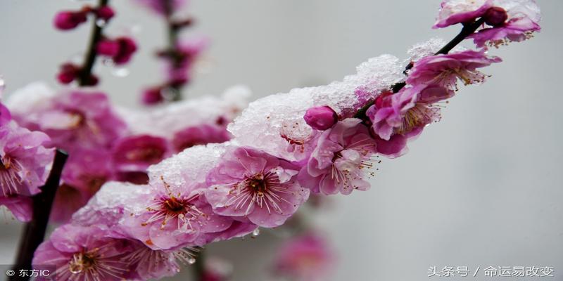 梅花易数刚好除尽(梅花易数这样起卦更精准)