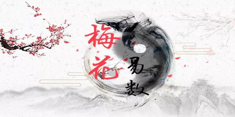 梅花易数动爻加不加时辰(梅花易数的占卜心法)