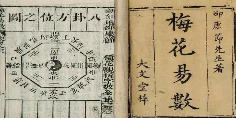 梅花易数动静定体用(梅花易数甘二占)