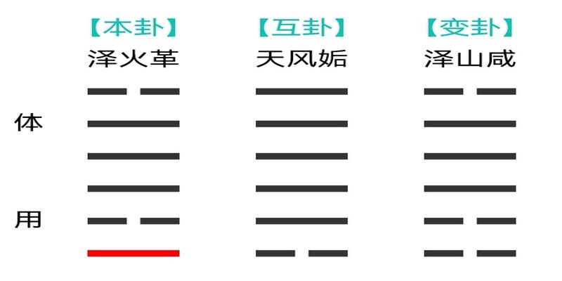 梅花易数原文(梅花易数之观梅占)