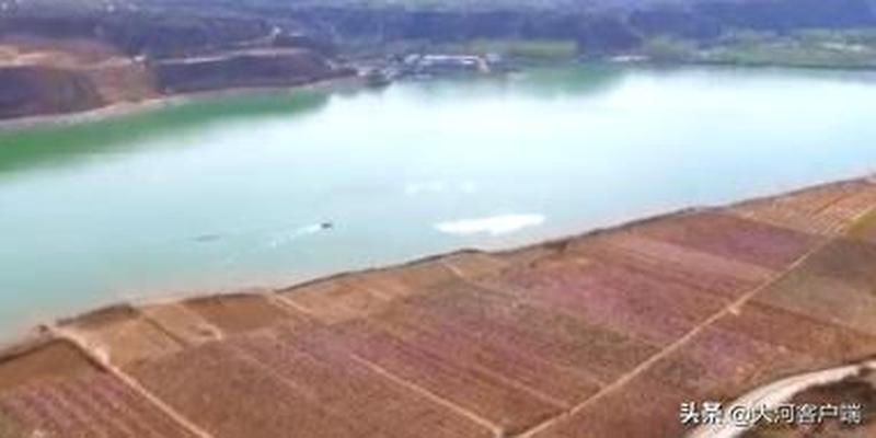 漯河哪里有算卦比较准的地方(大河早新闻丨震撼)