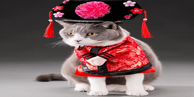 三块硬币算卦(中国尿盆在美国高价热卖)