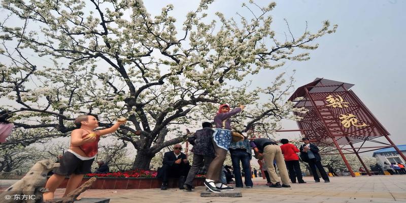 刘兰芳罗成算卦(盘点“山东省曲艺之乡”阳信的点点滴滴)