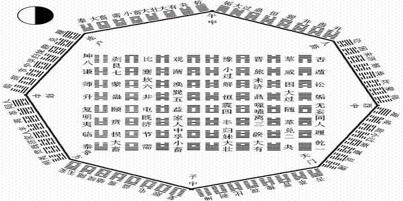 卜卦梅花易数(他出生时乌鸦满院)