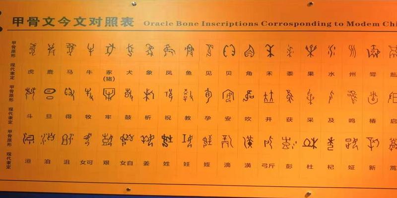 古人是怎么算卦的(回到古代您会算卦么)