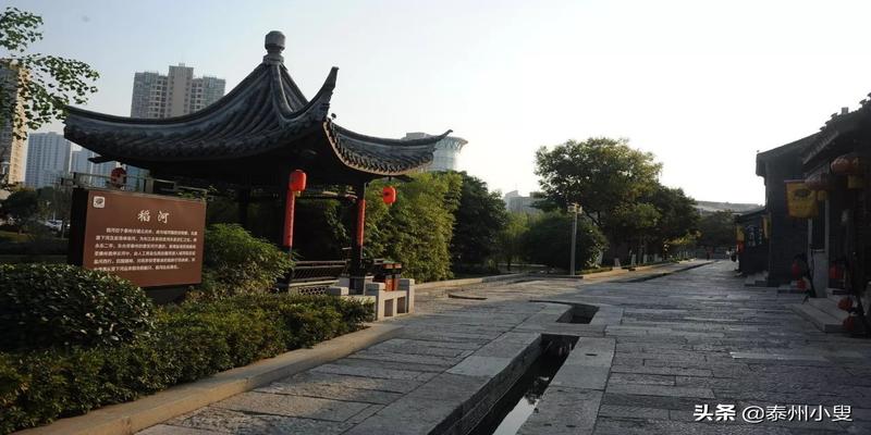 夏津县白马湖韩桥村算卦的(水城泰州话稻河)
