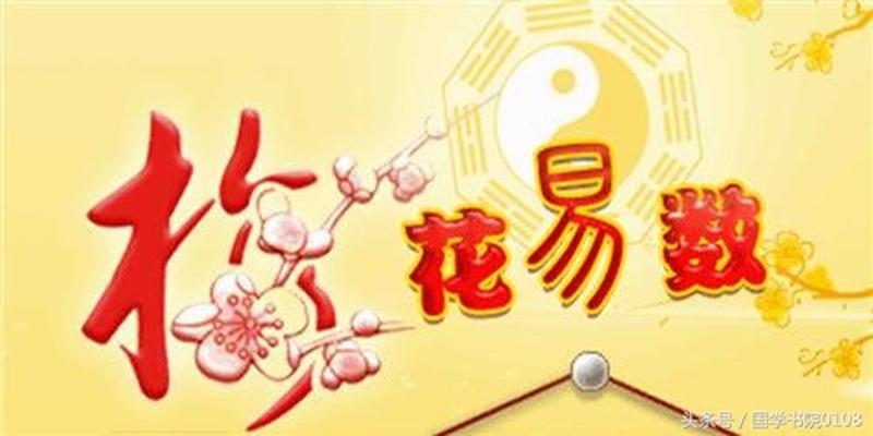 天雷无妄梅花易数(梅花易数基础知识)