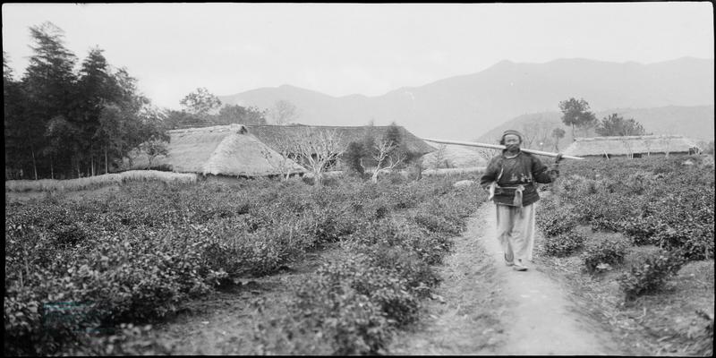 寿光稻田算卦女哪个准(民国时期的社会民情生活)