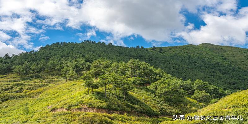 新乡看香算卦(卫辉凤凰山这个神秘的算卦先生)