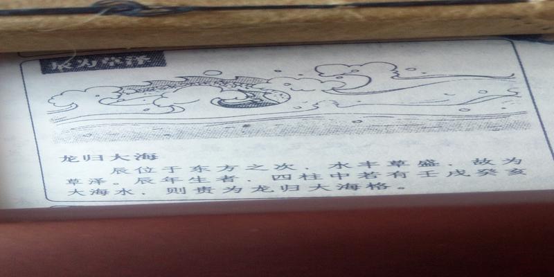 梅花易数怎么入门(神奇的梅花易数)
