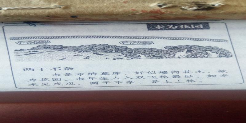 梅花易数怎么入门(神奇的梅花易数)