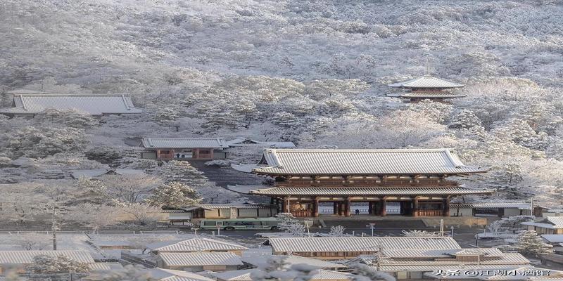 梅花易数感悟(侠客传奇故事之梅花易数奇缘)