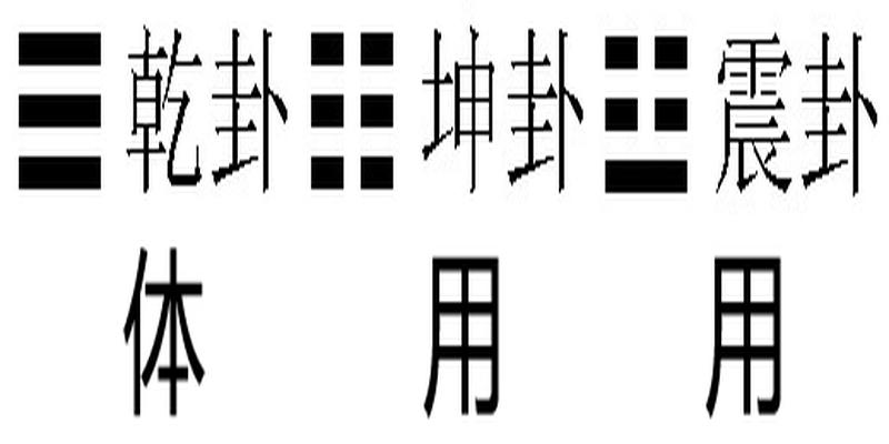 梅花易数排卦方法(“神奇梅花”排卦的方法及规则)