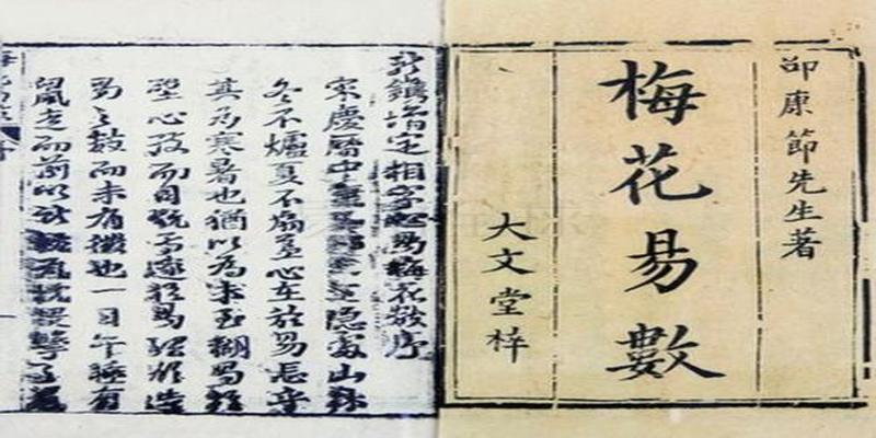 梅花易数断应期实例(梅花易数周易预测实战案例)