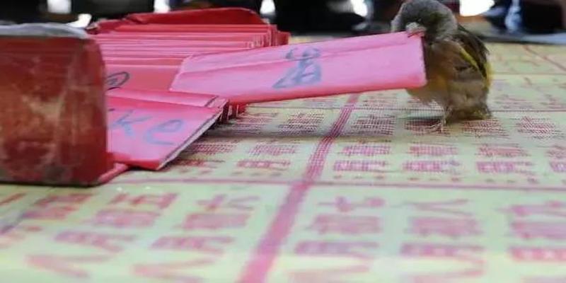 来例假能算卦不(江湖或许离我们很远)