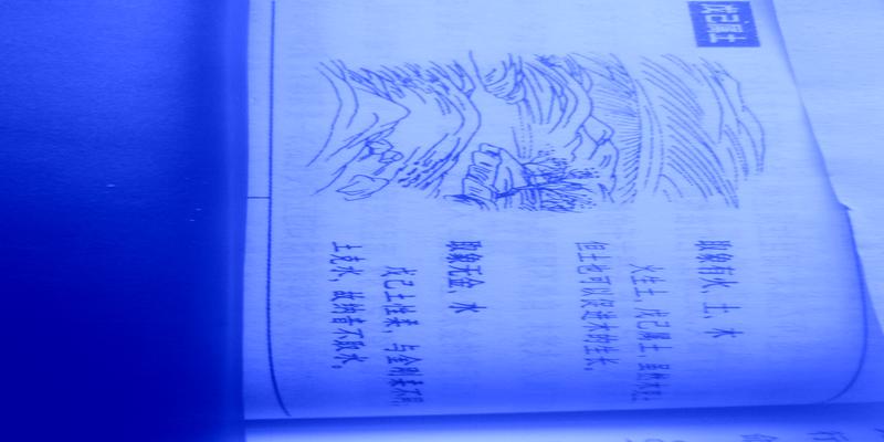 梅花易数兑卦代表什么(神奇的梅花易数)