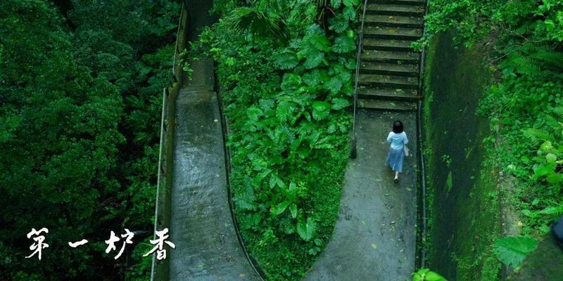 梦见蛇仙给我算卦(吵了两年的片子猛跌至5分)