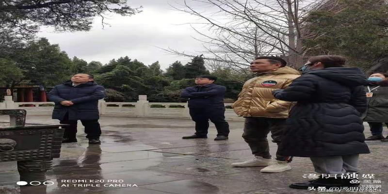 汤阴羑里城哪个算卦的准(汤阴羑里城与影视明星的不解之缘)