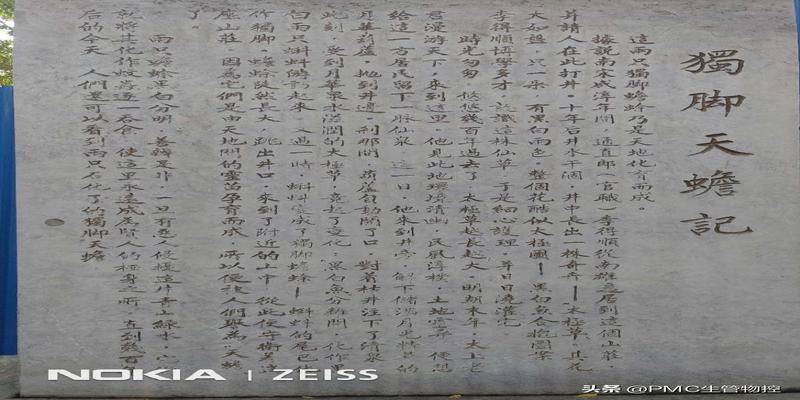 法王寺方丈释延佛算卦如何(东莞隐贤山庄)