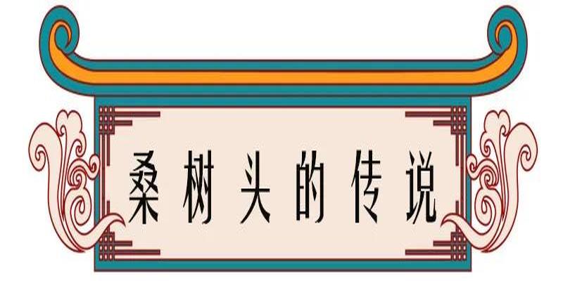 淄川罗村算卦准的(高邮乡镇地名由来)