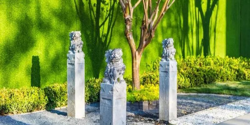 温县算卦王老怪地址(算命先生是个女的)