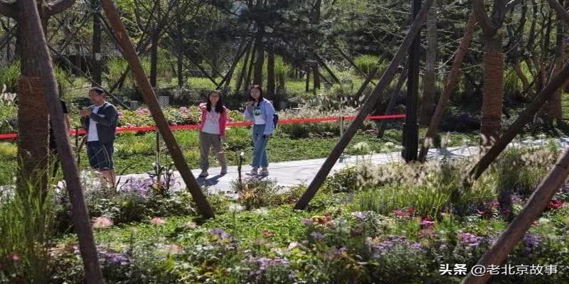 潭柘寺有算卦的吗(2019北京最强赏叶攻略)
